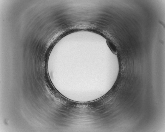 X0000099320440200805301219