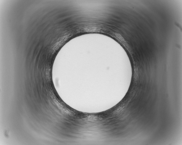 X0000099320441200805301219