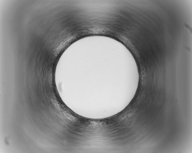 X0000099320442200805301219