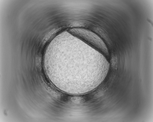 X0000099320444200805301219