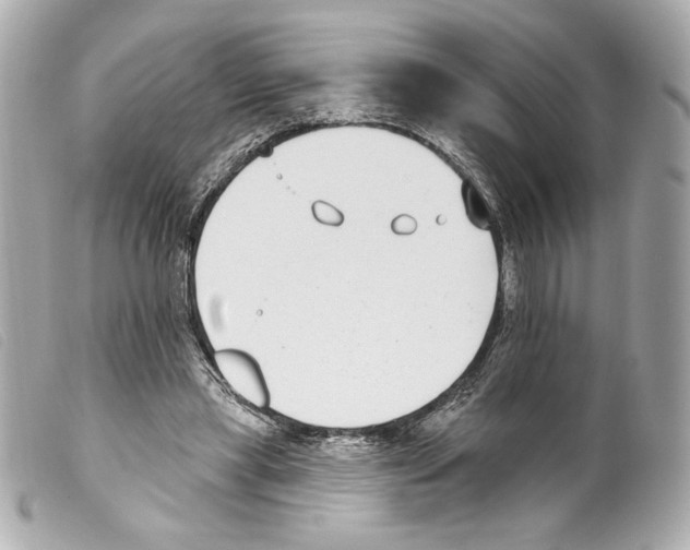 X0000099320445200805301219