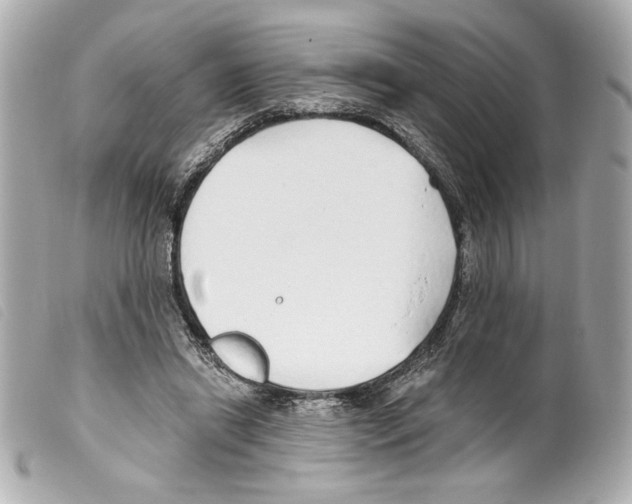 X0000099320446200805301219