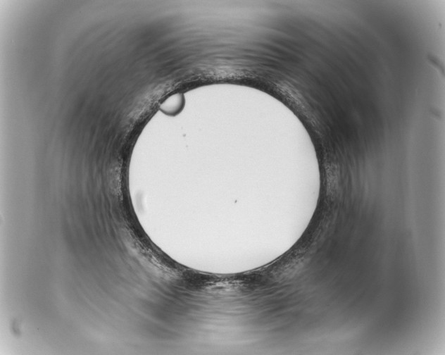 X0000099320447200805301219