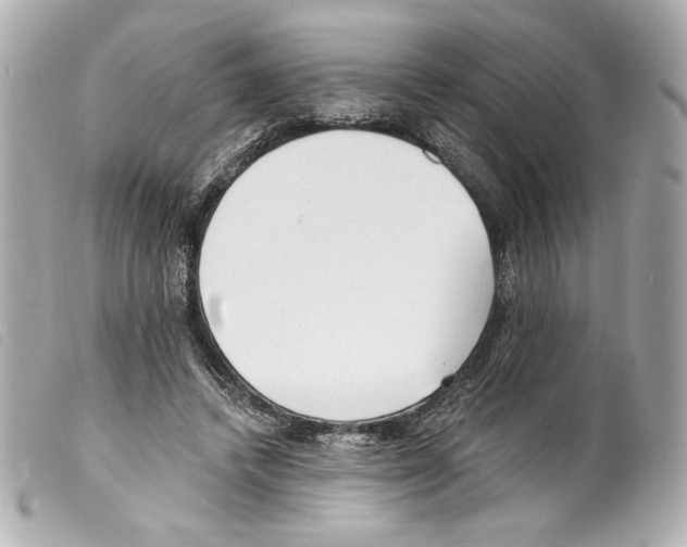 X0000099320448200805301219