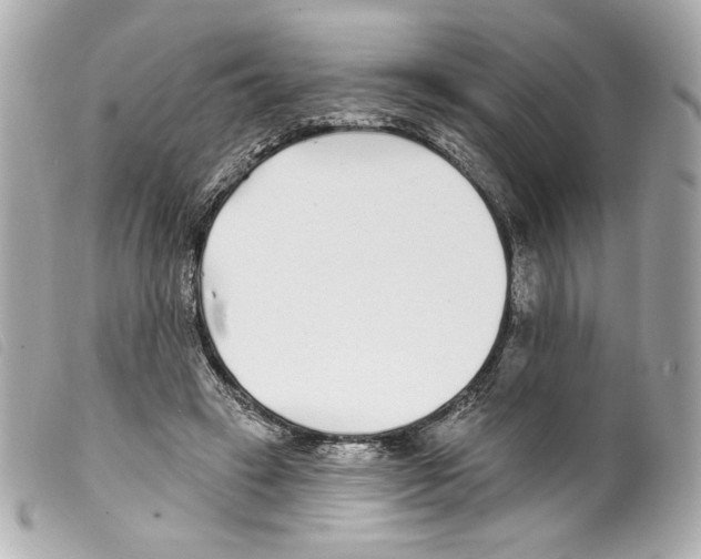 X0000099320449200805301219