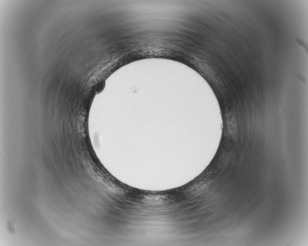 X0000099320450200805301219