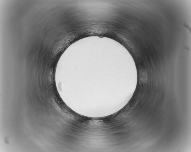 X0000099320451200805301219