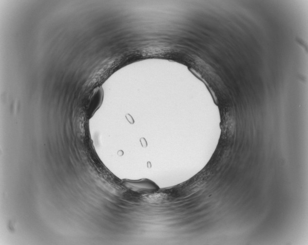 X0000099320452200805301219