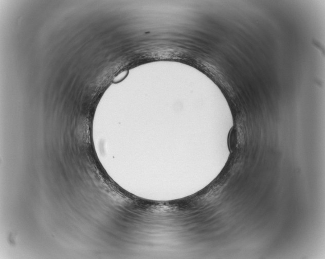 X0000099320453200805301219