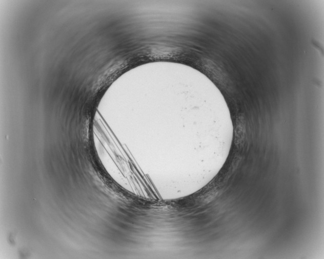 X0000099320454200805301219
