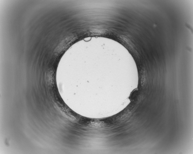 X0000099320455200805301219