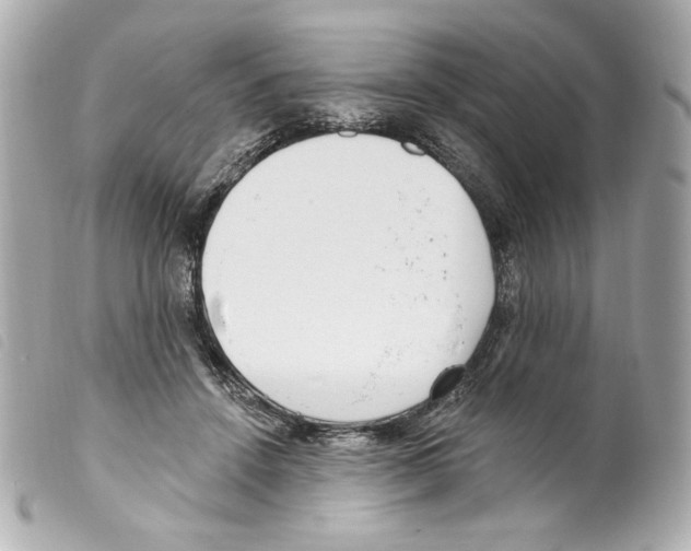 X0000099320456200805301219