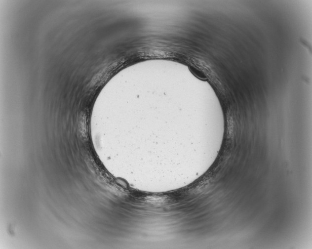 X0000099320457200805301219