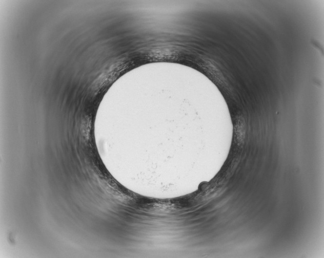 X0000099320458200805301219