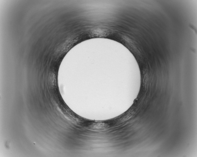 X0000099320459200805301219