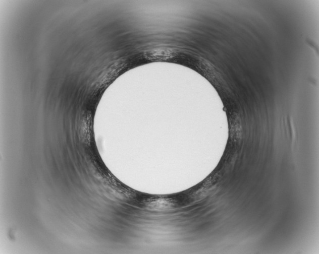 X0000099320460200805301219