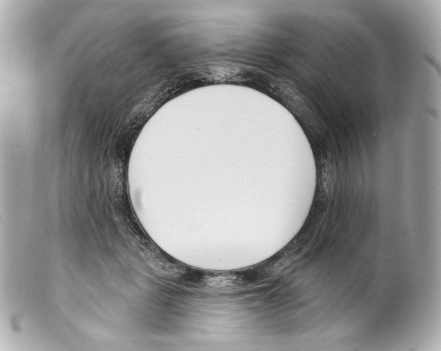 X0000099320461200805301219