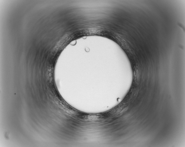 X0000099320462200805301219