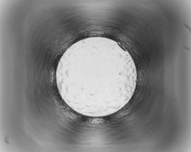 X0000099320463200805301219