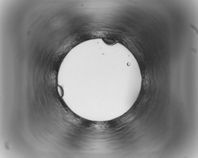 X0000099320466200805301219