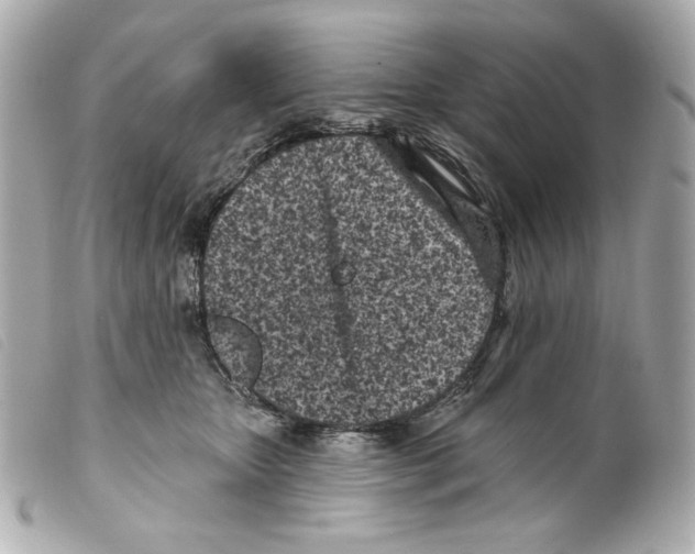 X0000099320467200805301219