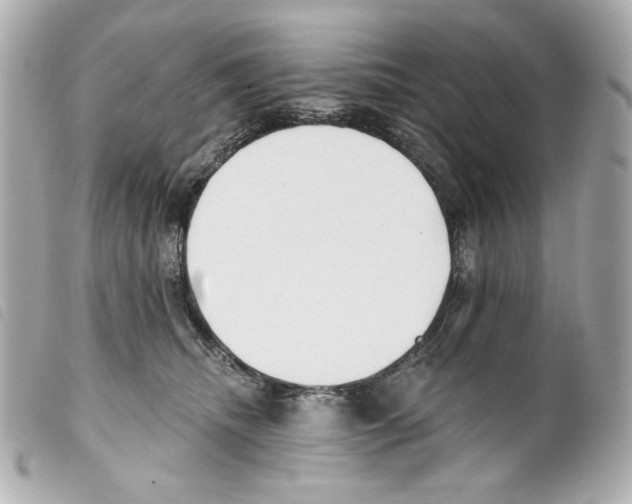 X0000099320468200805301219