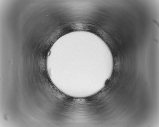 X0000099320469200805301219