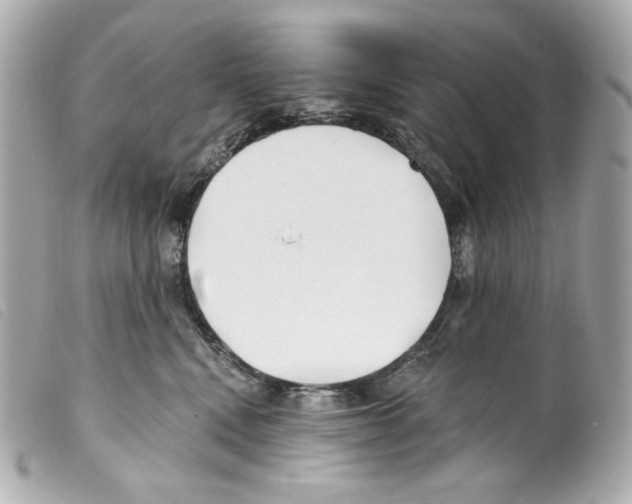 X0000099320472200805301219