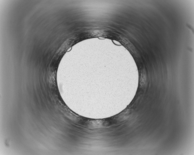 X0000099320473200805301219