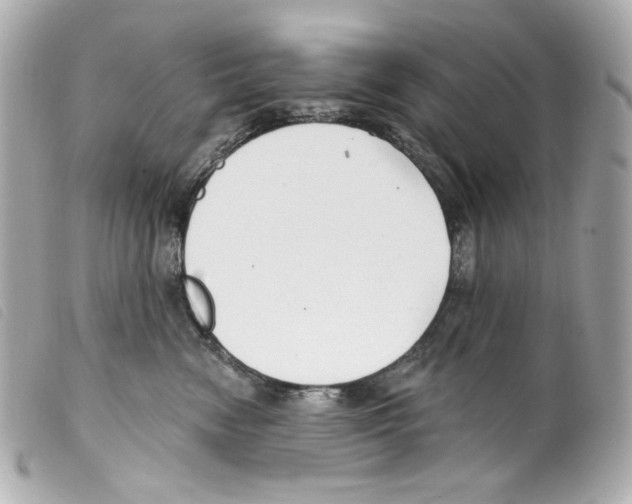 X0000099320474200805301219