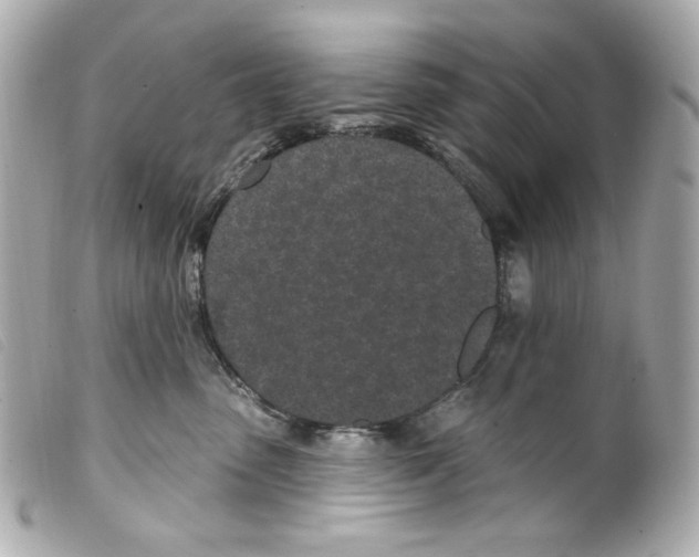 X0000099320475200805301219