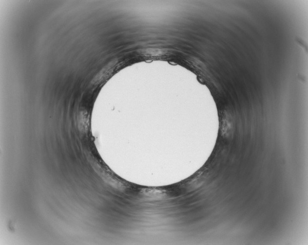 X0000099320476200805301219