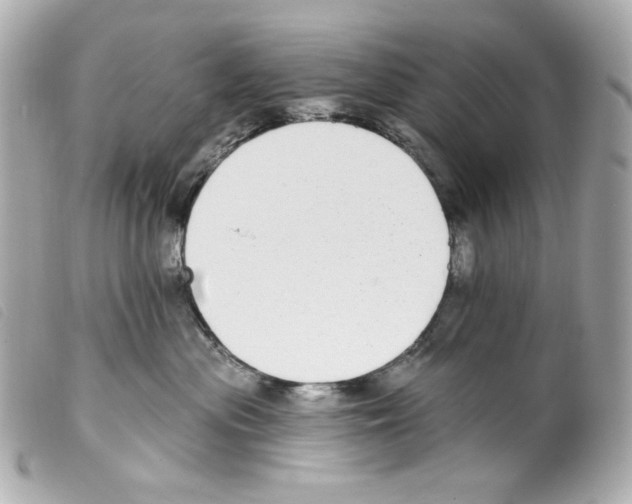 X0000099320477200805301219