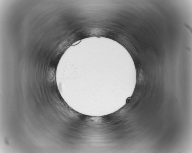 X0000099320478200805301219