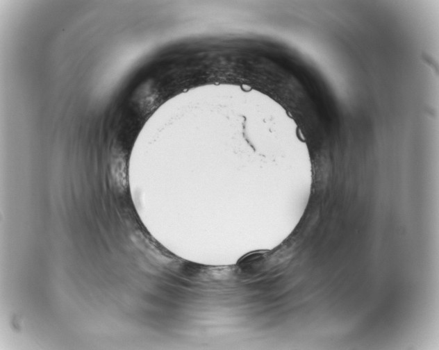 X0000099320479200805301219