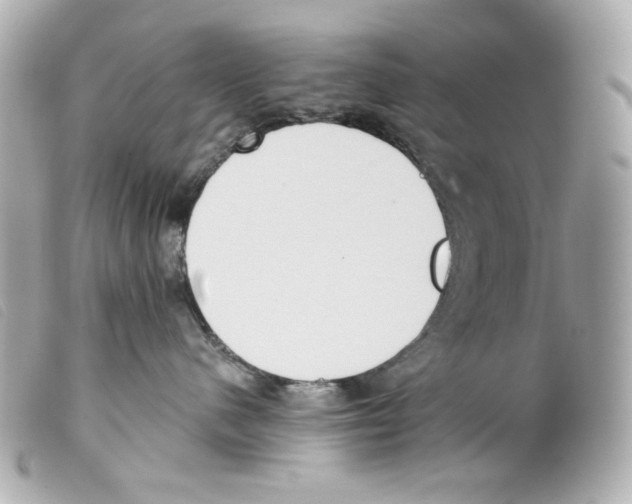X0000099320480200805301219
