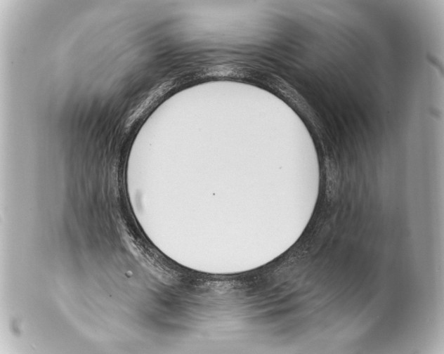 X0000099320482200805301219