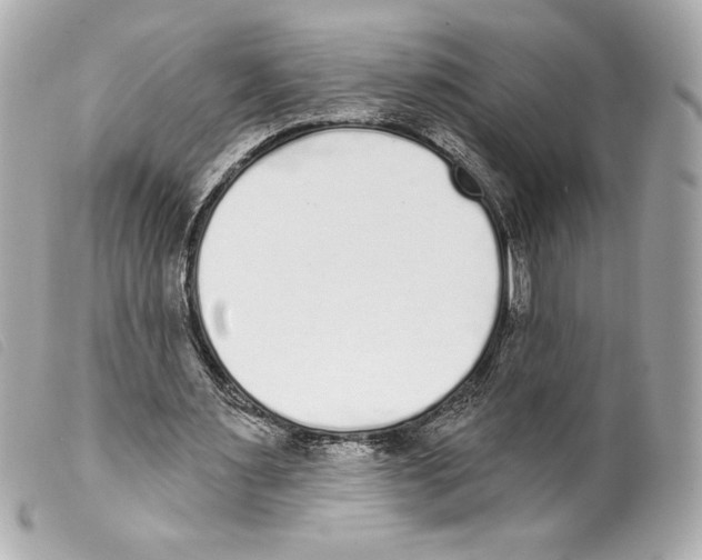 X0000099320483200805301219