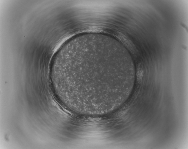 X0000099320484200805301219