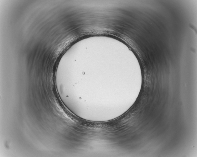 X0000099320485200805301219