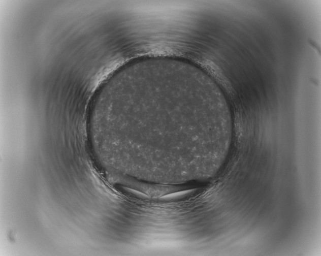 X0000099320488200805301219