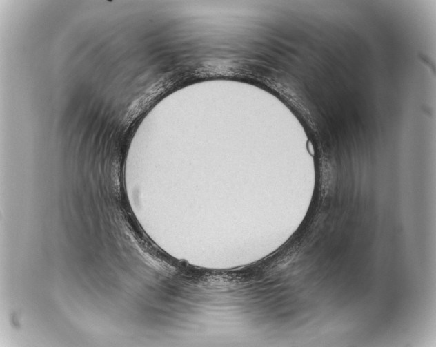 X0000099320489200805301219