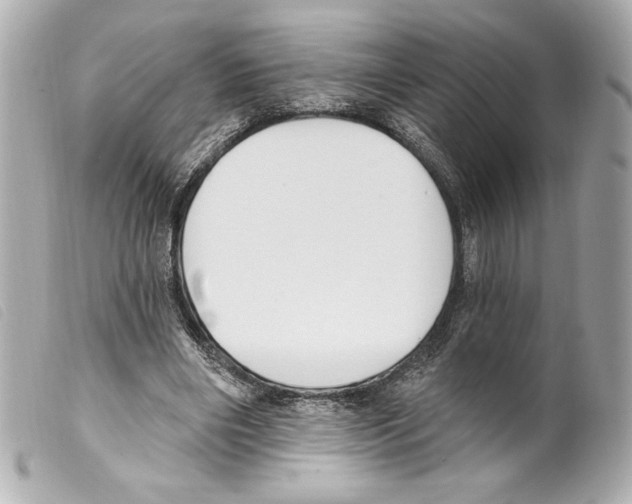 X0000099320490200805301219