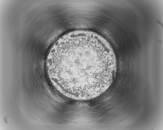 X0000099320491200805301219
