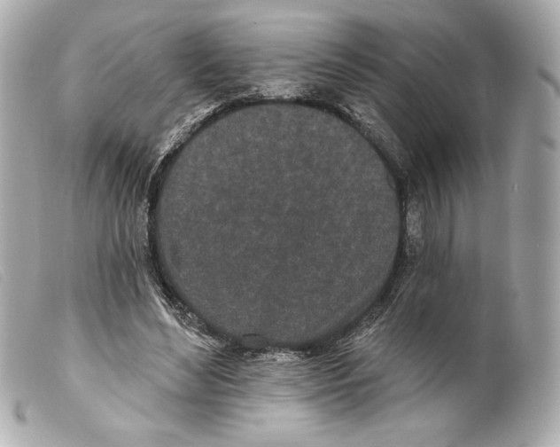 X0000099320492200805301219