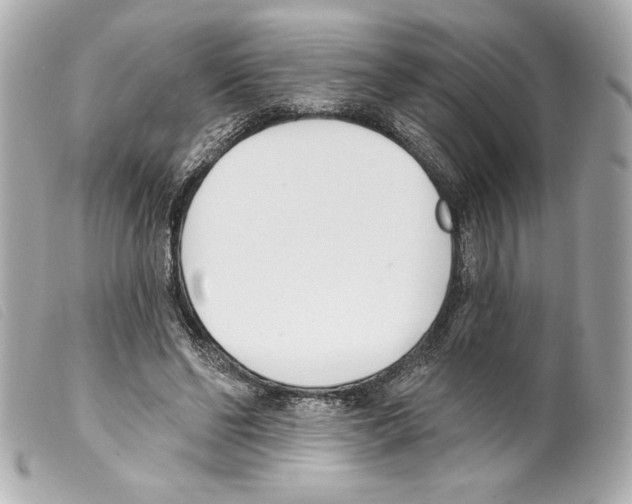 X0000099320494200805301219