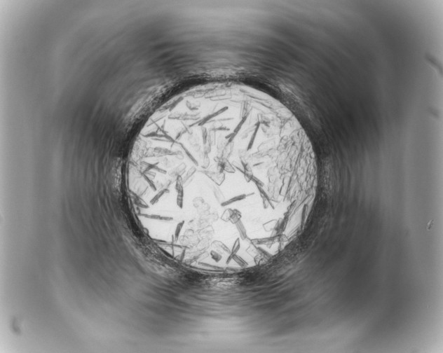 X0000099320495200805301219
