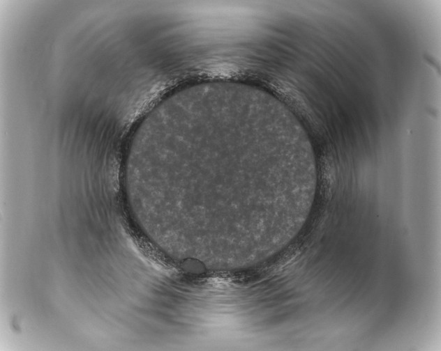 X0000099320496200805301219