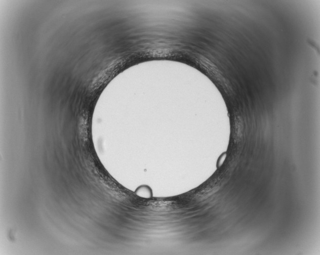 X0000099320497200805301219