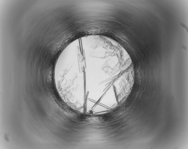 X0000099320499200805301219